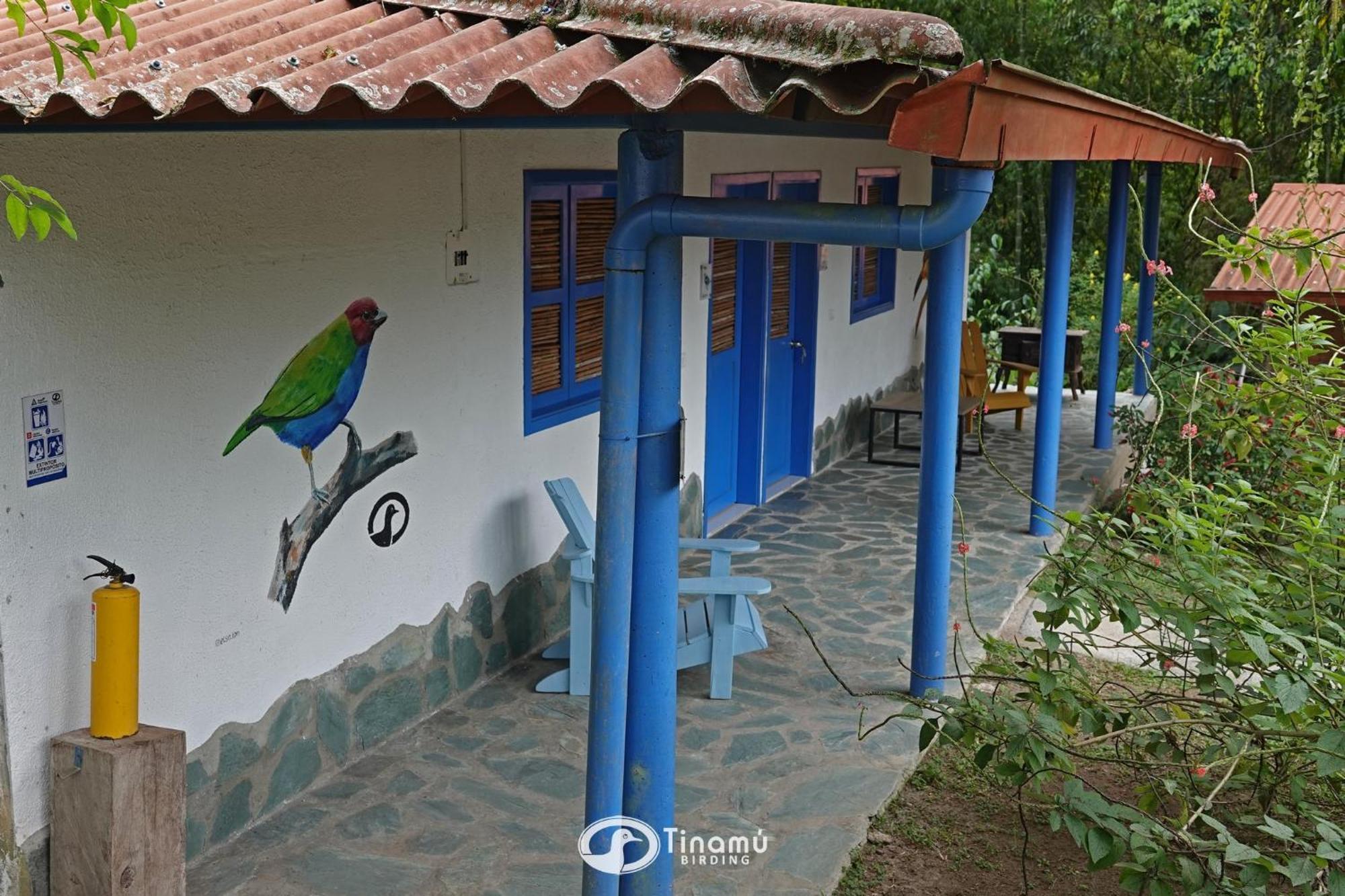 Hotel Tinamu Birding La Manuelita Exteriér fotografie